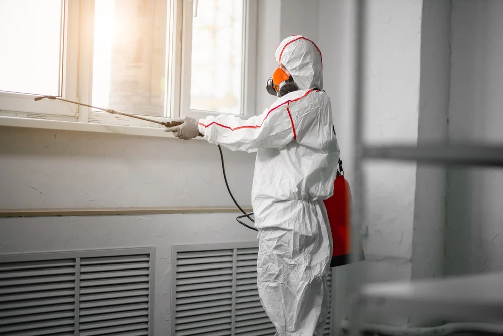 Professional mold remediation services in Matthews, IN
